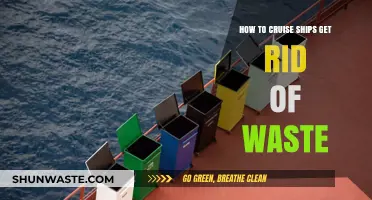Cruise Ship Waste Disposal: Eco-Friendly Practices and Challenges Explained