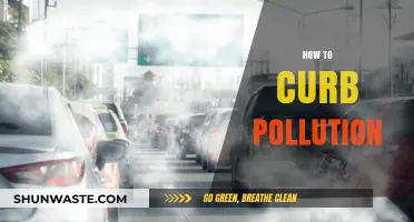 Strategies to Reduce Pollution and Protect Our Planet