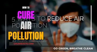Air Pollution: Strategies for a Cleaner Tomorrow