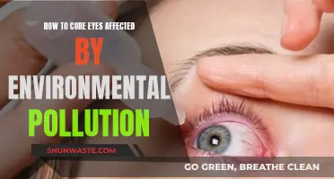 Protecting Eyes from Environmental Pollution: Natural Healing Methods