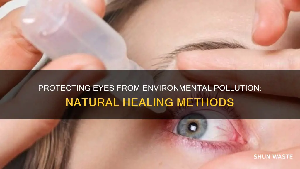 how to cure eyes affected by environmental pollution