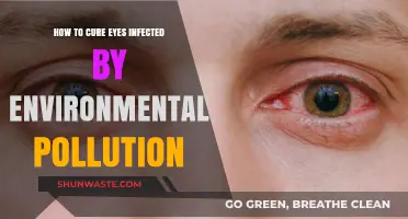 Protect Your Eyes from Environmental Pollution