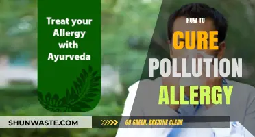 Battling Pollution Allergies: Natural Remedies and Tips