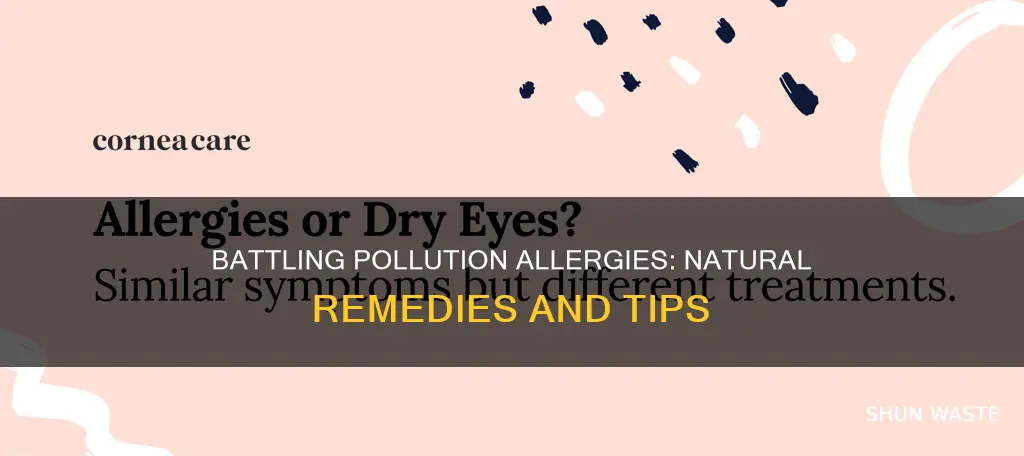 how to cure pollution allergy
