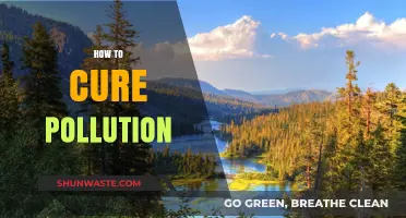 Green Revolution: Curing Pollution for a Better Tomorrow