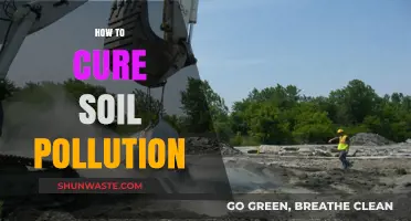 Soil Pollution: Natural Remedies for a Green Future