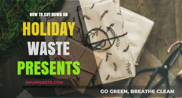 Eco-Friendly Gift Ideas: Reducing Holiday Waste with Thoughtful Presents