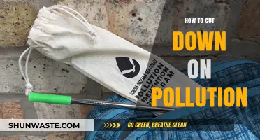 Cutting Pollution: Simple Steps for a Cleaner World