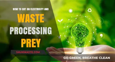 Slash Energy Bills and Waste: Eco-Friendly Tips for Efficient Living