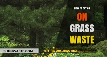 Reduce Grass Waste: Eco-Friendly Tips for a Greener Lawn Care Routine