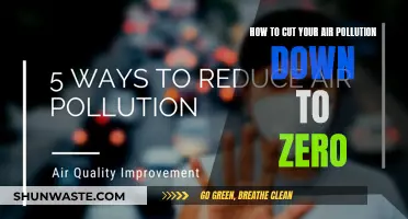 Breathe Easy: Slash Air Pollution to Zero