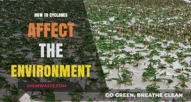 Cyclones' Environmental Impact: Destruction, Ecosystem Disruption, and Long-Term Effects