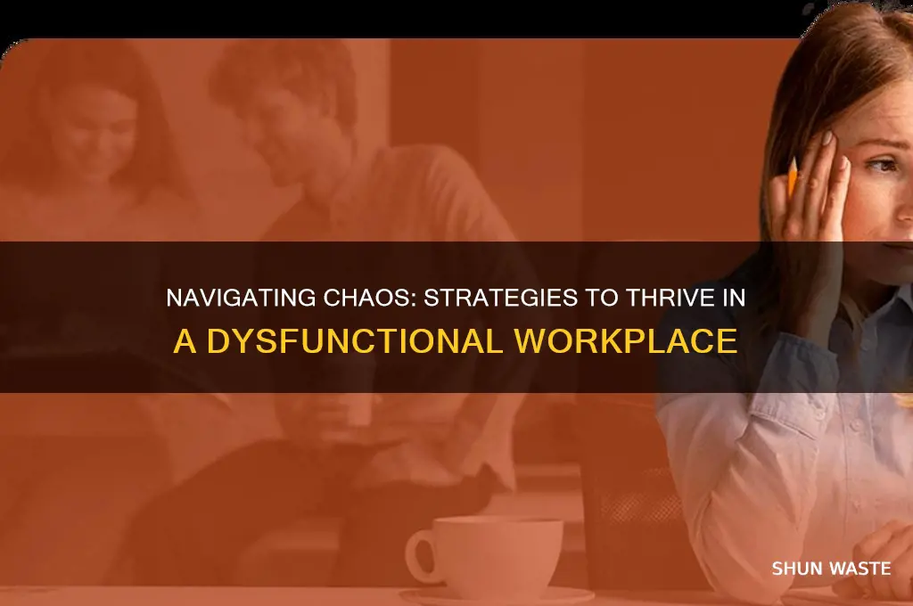 how to deal with a dysfunctional work environment