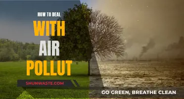 Air Pollution: Strategies for a Breathable Future