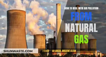 Natural Gas and Air Pollution: Strategies for Mitigation