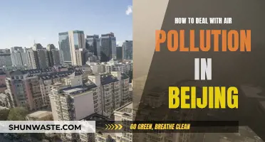 Beijing's Air Pollution: Strategies for Breathing Easier