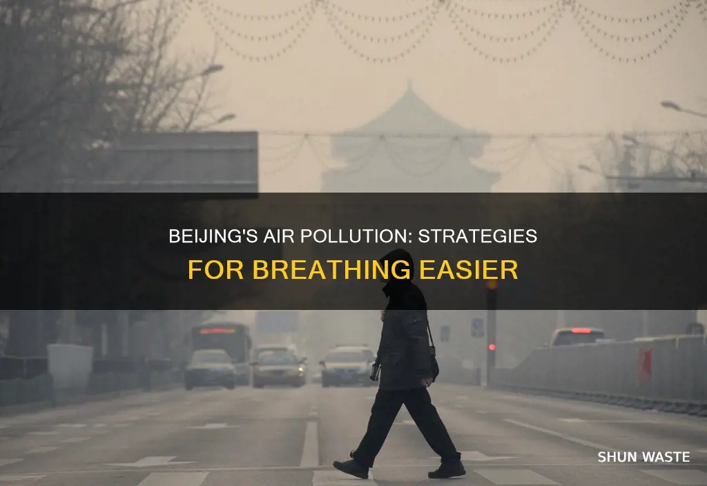 how to deal with air pollution in beijing