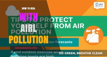 Battling Air Pollution: Strategies for a Greener Tomorrow