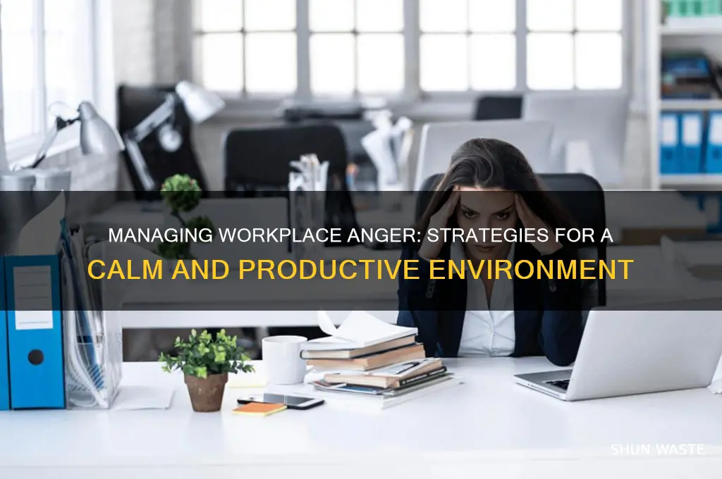 how to deal with anger in a work environment