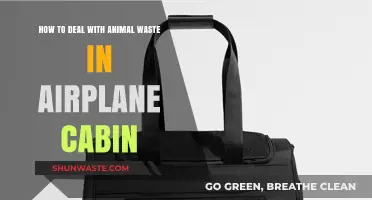 Managing In-Flight Animal Waste: Tips for a Clean Airplane Cabin