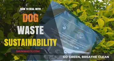 Eco-Friendly Dog Waste Management: Sustainable Solutions for Pet Owners