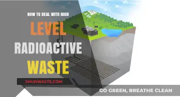 Managing High-Level Radioactive Waste: Safe Strategies for Long-Term Disposal