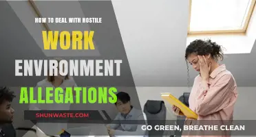 Navigating Hostile Work Environment Claims: Strategies for Employers and Employees