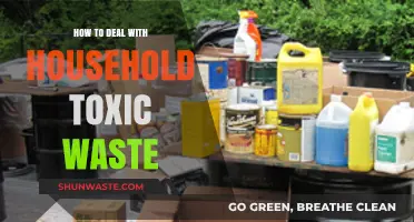 Safely Managing Household Toxic Waste: Essential Tips for Eco-Friendly Disposal