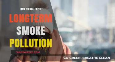 Battling Long-Term Smoke Pollution: Strategies for Clean Air