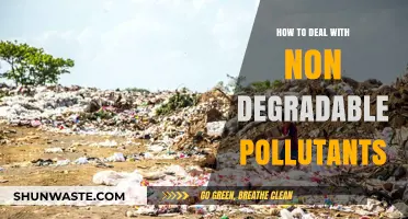 Addressing Non-Degradable Pollutants: Strategies for a Sustainable Future