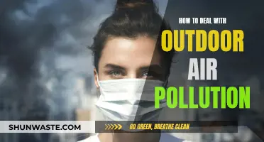 Protecting Ourselves from Outdoor Air Pollution
