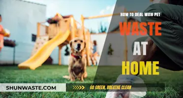 Effective Pet Waste Management: Tips for a Clean and Healthy Home