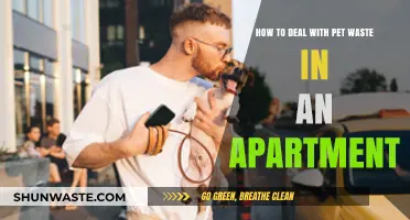 Apartment Pet Waste Management: Clean, Eco-Friendly Solutions for Urban Pet Owners