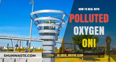 Purifying Polluted Air: Strategies for Cleaner Breathing