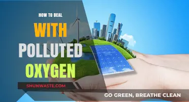 Purifying Our Air: Strategies for Battling Polluted Oxygen