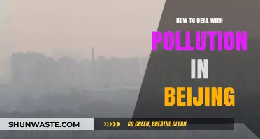 Battling Beijing's Pollution: Strategies for Change