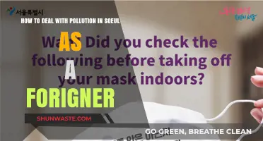 A Guide to Surviving Seoul's Pollution as a Foreigner
