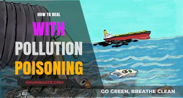 Protecting Ourselves from Pollution Poisoning