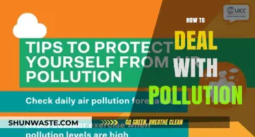 Strategies to Combat Pollution and Protect Our Planet