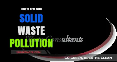 Effective Strategies to Combat Solid Waste Pollution and Protect Our Environment