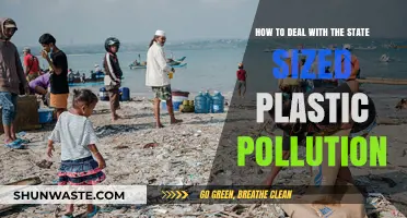 Plastic Pollution: State-Sized Solutions for a Cleaner World