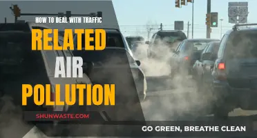 Traffic Air Pollution: Strategies for a Healthier Environment