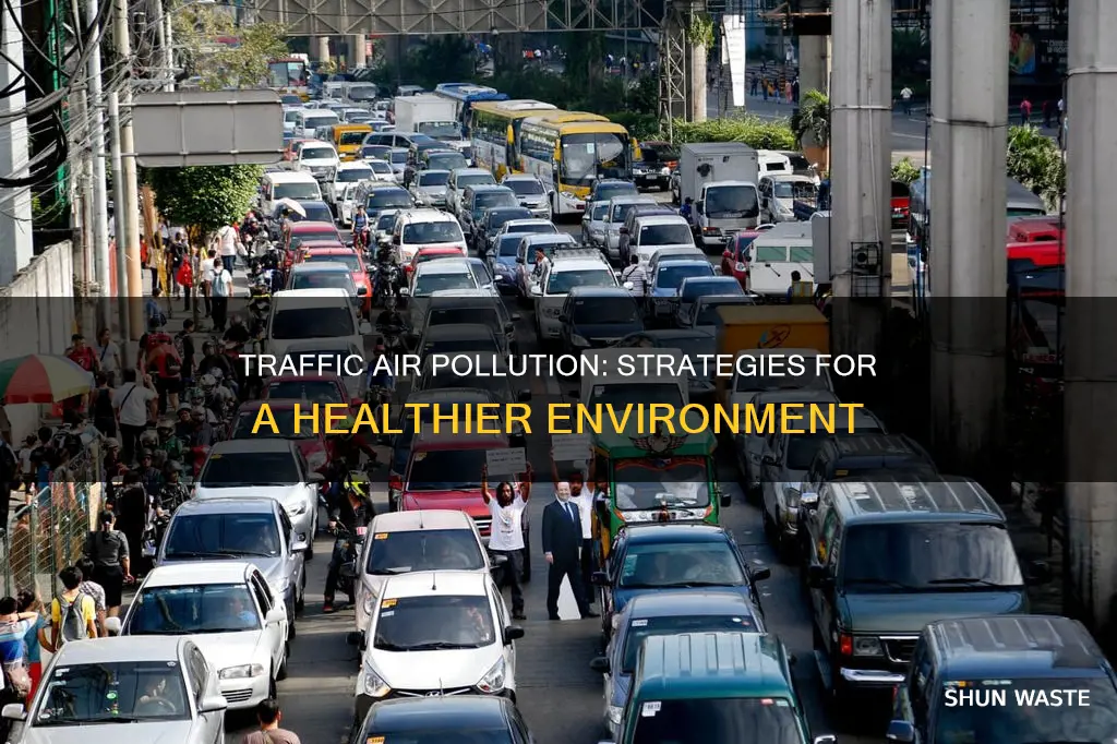 how to deal with traffic related air pollution
