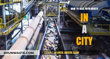 Urban Waste Management: Strategies for Cleaner, Greener Cities