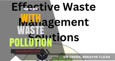 Strategies to Combat Waste Pollution