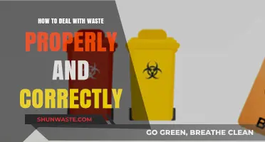 Mastering Waste Management: Proper Disposal Techniques for a Greener Future