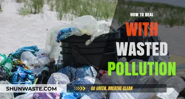 Reducing Waste: Strategies to Combat Pollution