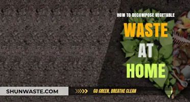 Eco-Friendly Tips: Decomposing Vegetable Waste at Home Effortlessly