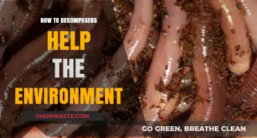 Decomposers: Nature's Cleanup Crew and Their Vital Role in Ecosystems