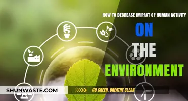 Sustainable Living: Practical Steps to Reduce Human Impact on the Environment
